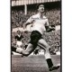 Signed photo of Maurice Norman the Tottenham Hotspur Footballer